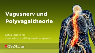 Vagusnerv und Polyvagaltheorie  NaturMEDIZIN  QS24 Gesundheitsfernsehen [upl. by Philips498]