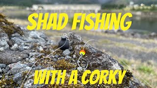 Shad Fishing Beatdown at Bonneville Dam with my Son 2021 [upl. by Huoh]