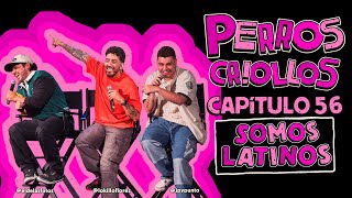 PERROS CRIOLLOS  SOMOS LATINOS CAP 56 [upl. by Rubia]