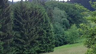 Schönbrunn im Odenwald das einzige Dorf Deutschlands ohne Straßenanschluss [upl. by Arsi]