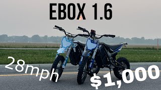 Best 1000 Electric Pit Bike Ebox 16 [upl. by Chamberlin]