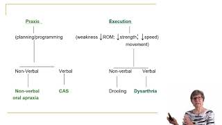 Introduction to Childhood Apraxia of Speech [upl. by Handal]