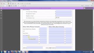 Filling Out the Remittance Form [upl. by Theis]