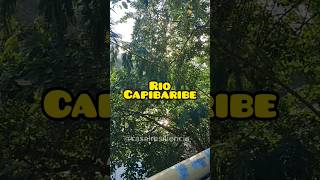 Rio capibaribe casalresiliencia fyp foryoupage foryou foryoupage fyy fypage marçal lazer [upl. by Soren]