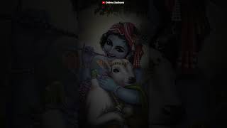 KRISHNA DAMODAR STOTRAM  Shree Krishna Status ✨ krishnastatus radhakrishna radhakrishnastatus [upl. by Ravens]