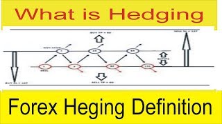 What is Hedging In Forex  Definition and Losses of Hedging in Urdu and Hindi by Tani Forex [upl. by Nalyac]