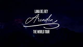 Lana Del Rey  Dealer ft Miles Kane The Arcadia World Tour [upl. by Kinsley]