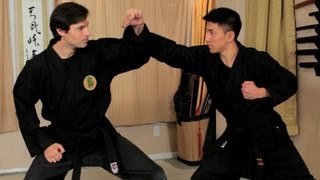 How to Do the Jodan Uke  Ninjutsu Lessons [upl. by Anawyt477]