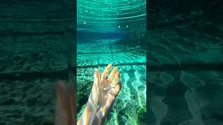 📍Ginnie Springs crystal clear water ginniesprings floridasprings hiddengems florida shorts [upl. by Yarehs]