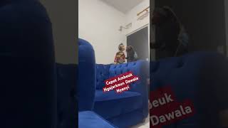 Parodi Wayang wayanggolek fyp cepot dawala [upl. by Aslehc]