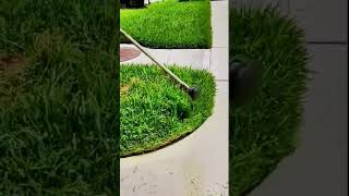 Perfect Lawn Edges Watch and Listen to the Satisfying Mow [upl. by Aisined]