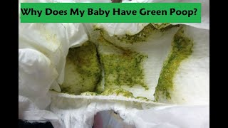 Why Does My Baby Have Green Poop [upl. by Keller]