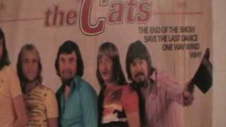 The Cats  In my room  1968   Palingsound uit Volendam [upl. by Birchard]