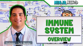 Immunology  Immune System Overview [upl. by Winslow]