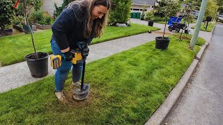 Planting 3 New Dogwood Trees 🌳 Why Fall is The Best Time For These Stunning Trees 🍂🙌 [upl. by Nerahs]