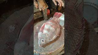 Fish Cutting Skills  Impressive Giant Tilapia Fish Cutting By Expert Fish Cutter  shorts fish [upl. by Ayotel]