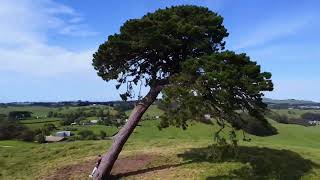 A Hobbit on One Tree Hill [upl. by Nerac284]