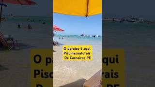 vlog entretenimento travel carneiros beach paraisodasaguas passeiofamilia praia [upl. by Salesin]