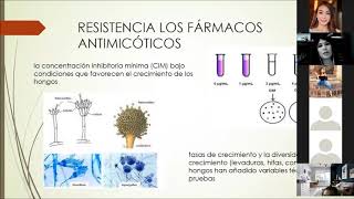 Practica 14 Uso de Antimicoticos en cultivo de hongos [upl. by Gerek]