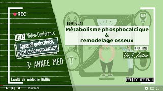 BIOCHIMIE  03 Métabolisme phosphocalcique et remodelage osseux [upl. by Annahsit956]