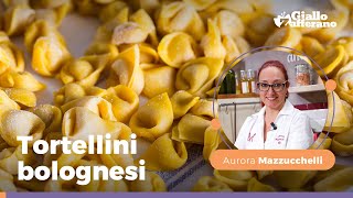 Come fare i TORTELLINI FATTI IN CASA  Ricetta di Aurora Mazzucchelli [upl. by Nosreve]