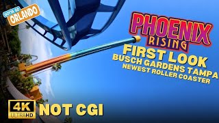 FIRST LOOK of Phoenix Rising At Busch Gardens Tampa [upl. by Jobie]