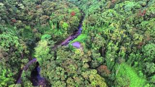 Phantom 3 Hakalau Valley Big Island HI [upl. by Ginni940]