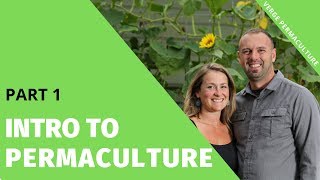 Introduction to Permaculture  Part 1 [upl. by Rissa5]