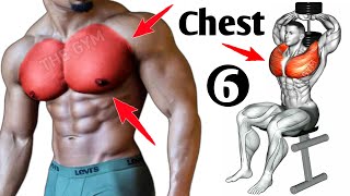 6 Big chest exercises  fastest [upl. by Nymzaj493]