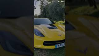 Chevrolet Corvette C7 [upl. by Esbenshade136]