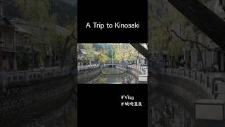 【城崎】城崎温泉旅行Vlog｜A Trip to Kinosaki Onsen shorts [upl. by Dinesh]