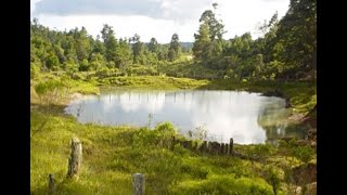 ¿Qué es un jagüey de agua ¿Cómo se produce un jagüey de agua [upl. by Cul592]