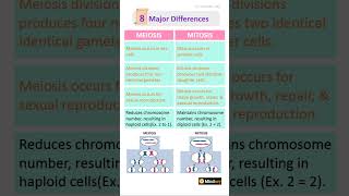 Difference between mitosis and meiosis neet biology [upl. by Lothair]