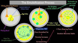 The Emulsification Process [upl. by Boatwright]