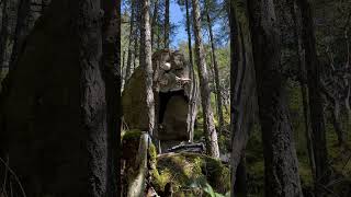 Brain Damage v4  Boulder City Sooke Bouldering [upl. by Ahsieki]