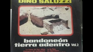 Dino Saluzzi Bandoneón Tierra Adentro Vol 2 disco completofull album [upl. by Lednor366]