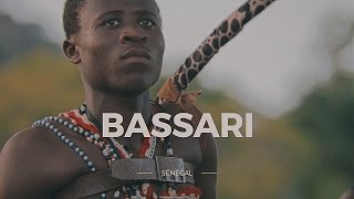 Troupe Bassari Danses et chants du Sénégal Oriental [upl. by Enirehs962]