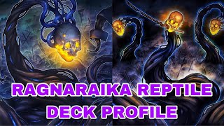 RAGNARAIKA  RAIKA Reptile Deck Profile  ERKLÄRUNG ￼ [upl. by Anilam]