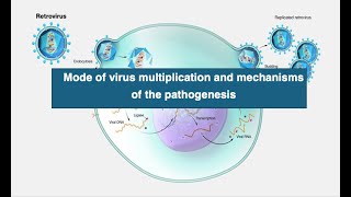 Mode of virus multiplication and mechanisms of the pathogenesis [upl. by Nytsud394]