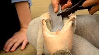 Pointe Shoe Tip  How to 34 Shank Your Shoes [upl. by Godfry975]