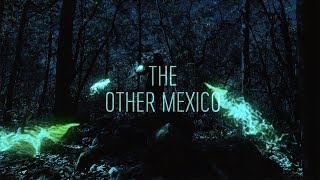 The Other Mexico l Moment Invitational 2019 Submission l by Diego Lacort amp Loccollective [upl. by Eigger918]