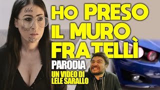 HO PRESO IL MURO FRATELLI  PARODIA [upl. by Harad369]