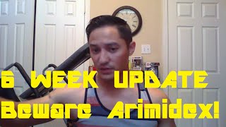 TRT  6 Week Update  Beware Arimidex Testosterone Replacement Therapy [upl. by Mastic]