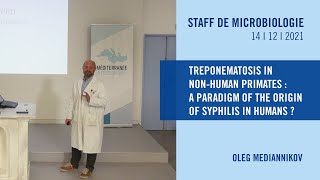 Treponematosis in nonhuman primates  a paradigm of the origin of syphilis in humans [upl. by Eselahs]