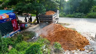 Starting New Project Land Filling 9x40m Completed 100 With Komatsu D31P Dozer amp 5T Trucks [upl. by Alphonso]