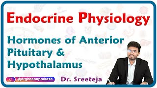 Hormones of Anterior pituitary and Hypothalamus  Endocrine physiology USMLE Step 1 [upl. by Eussoj890]