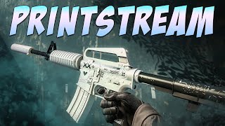 CSGO  M4A1S  Printstream Gameplay [upl. by Zenia]