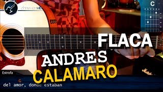 Cómo tocar quotFlacaquot de Andrés Calamaro en Guitarra Acústica HD Tutorial  Christianvib [upl. by Orban]