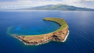 Molokini Crater Maui Hawaii Snorkel [upl. by Anelah]