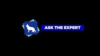 Ask the Expert Dog Training Saboteurs  February 12 2019 [upl. by Enaffit367]